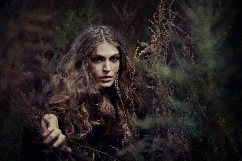 kleo, полынь Горечь полыни...photo preview