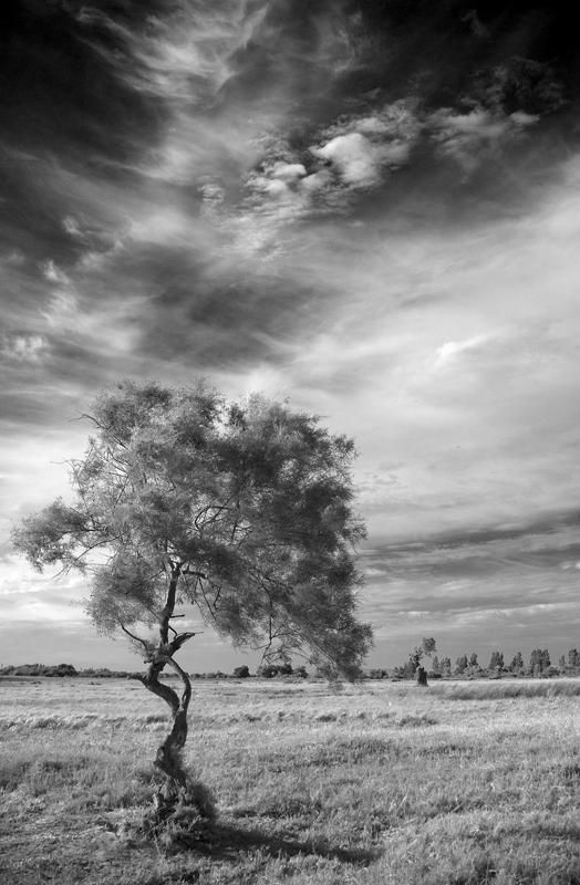 Танец на цыпочкахphoto preview