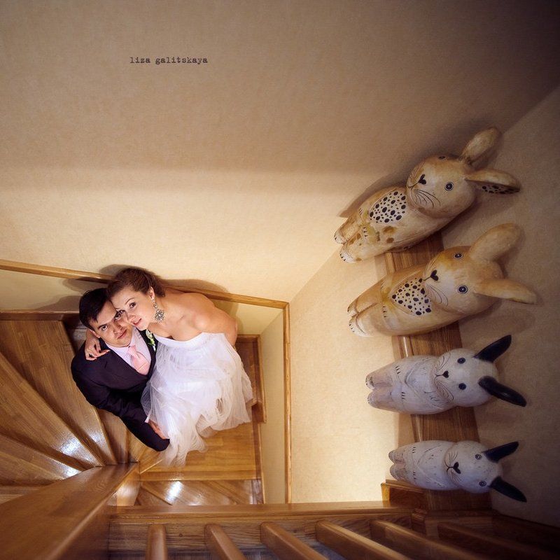 кроликиphoto preview