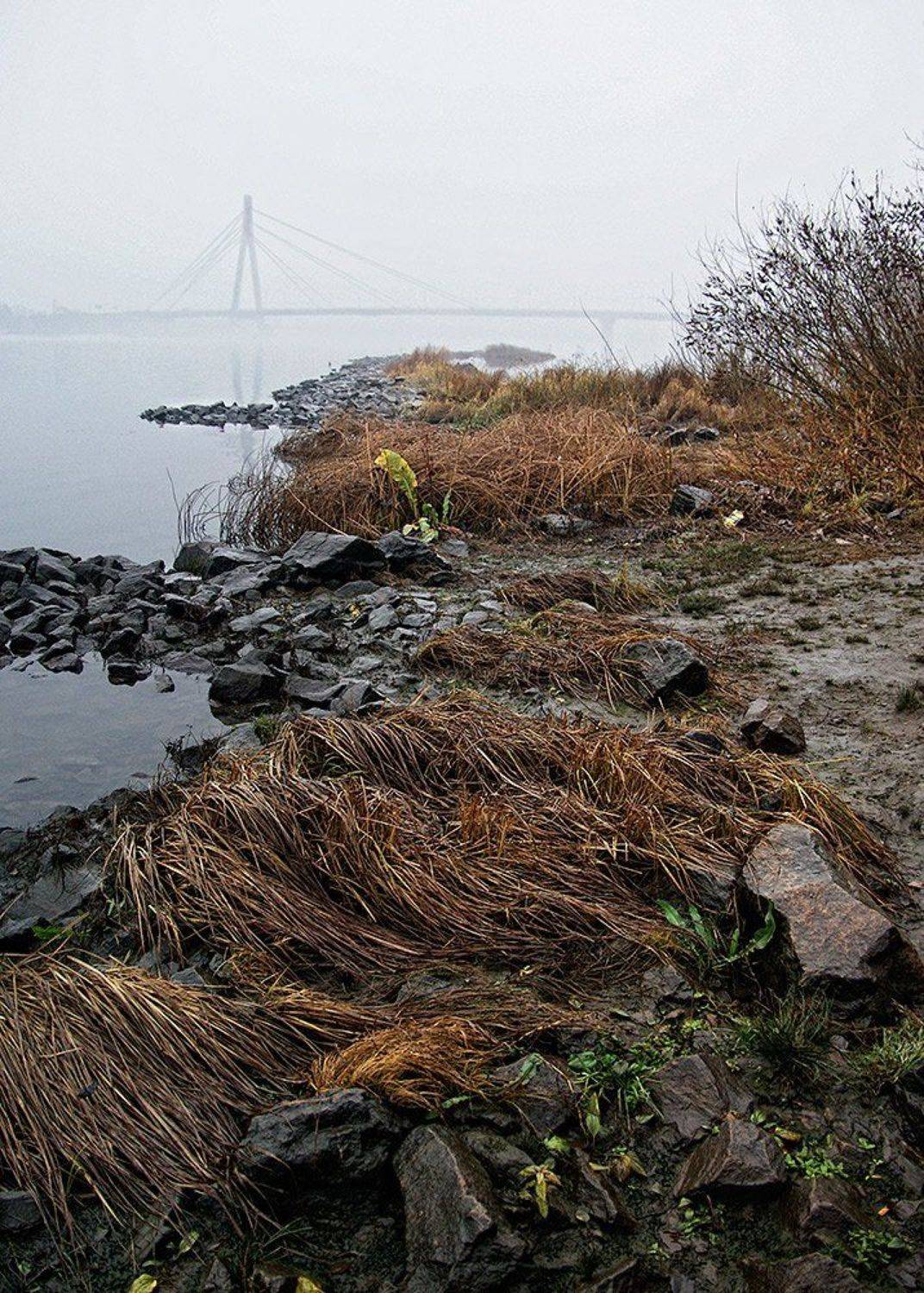 Туманный берег. Автор: Tina Grach пейзаж, Tina Grach