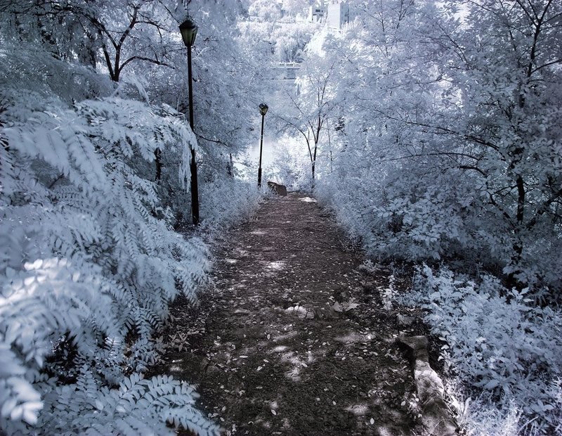 Infraredphoto preview