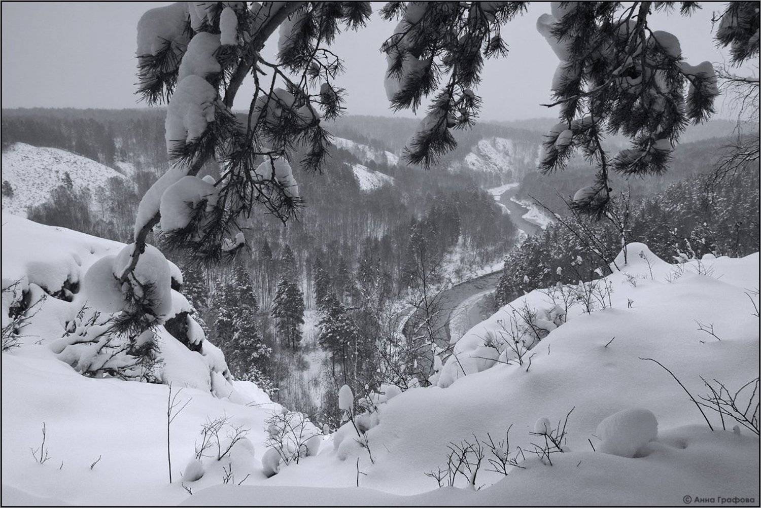 нсо, бердь, зверобой, бердские скалы, зима, аня графова, Аня Графова