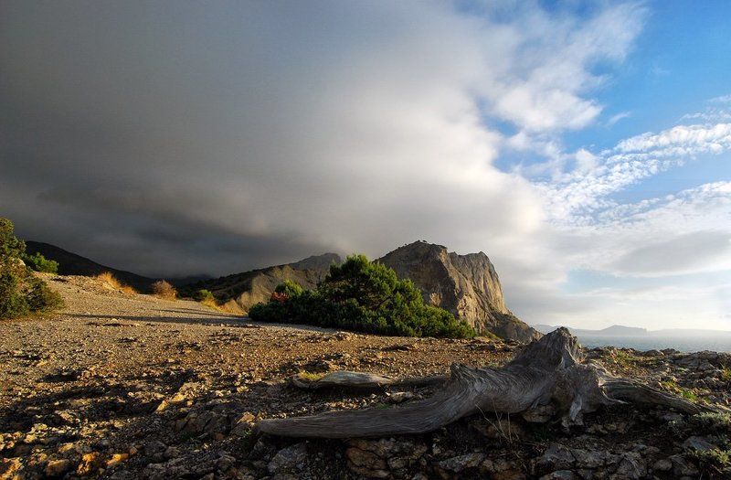 крым Новый Свет.Крымphoto preview