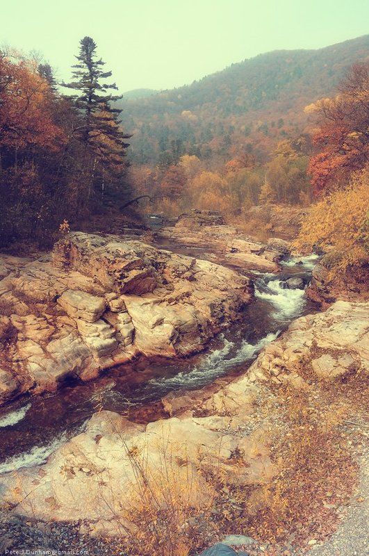 река, ван-чин, милоградовка, приморье, сихотэ-алинь, тайга, лес, осень, дымка, пелена, каньон, скалы, ущелье, пороги, горная Таёжная речная llphoto preview