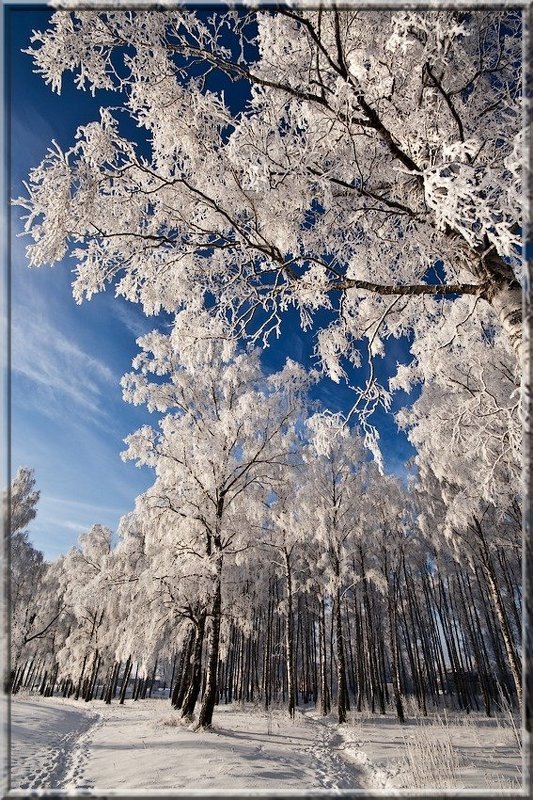 inej...photo preview