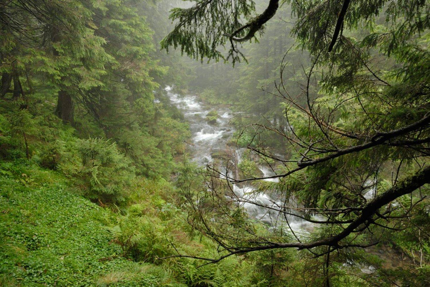 , Павел Лёушкин