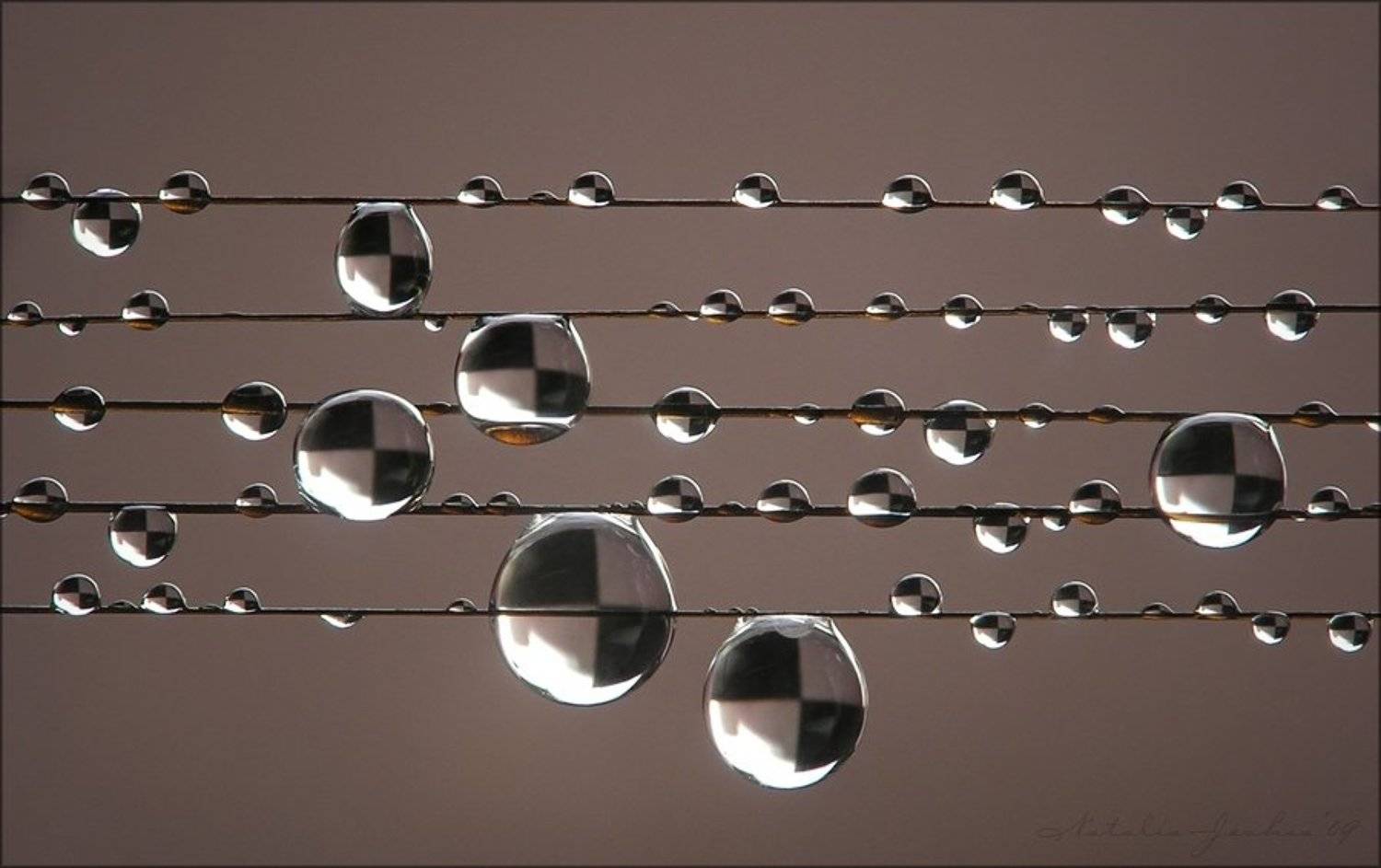 drop, water, air, капля, вода, воздух, natalia, jeshoa art-macro, Natalia Jeshoa