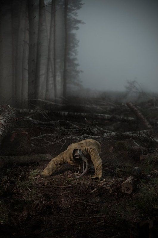 s.t.a.l.k.e.r., снорк, туман, Snork!photo preview