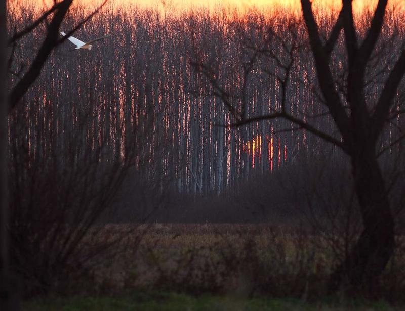 венгрия, токай, Венгерская осень. фото превью