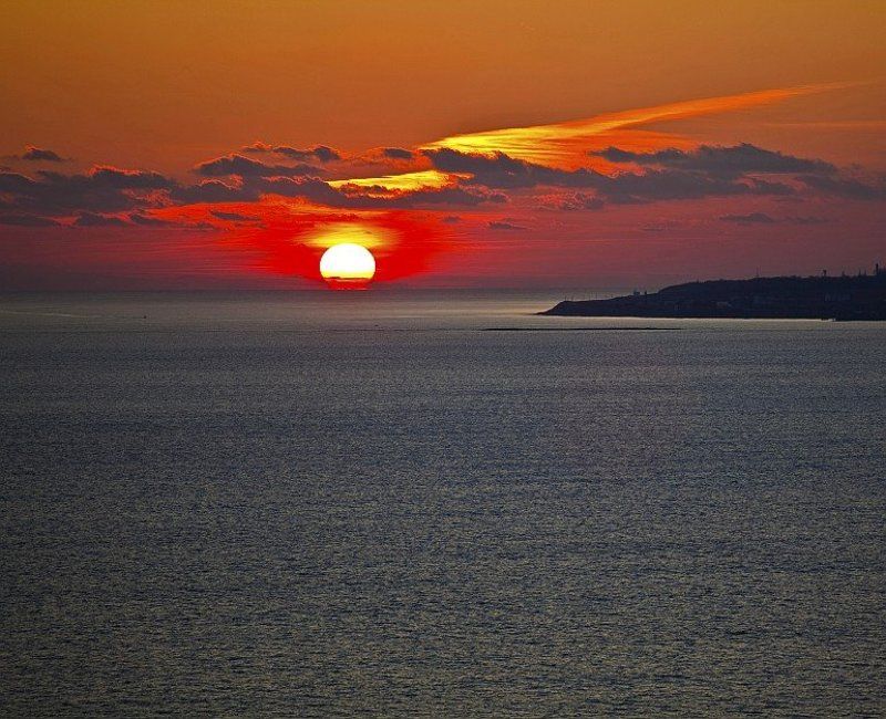 Тангоphoto preview