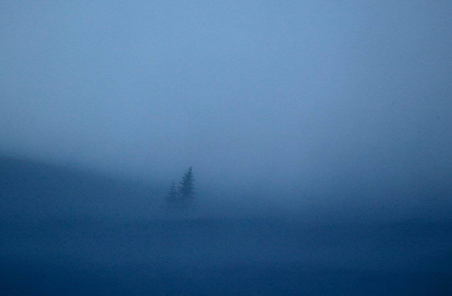 , Максим Костин