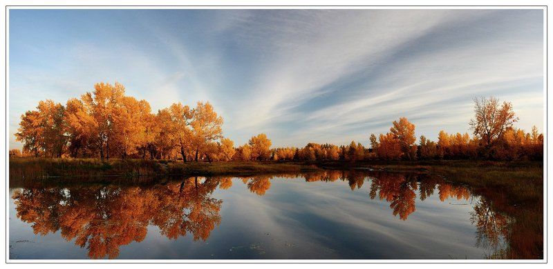 БЛЮЗ ОПАДАЮЩИХ ЛИСТЬЕВphoto preview