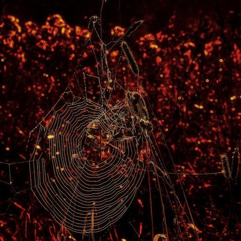 Мишень, или Три секунды до гибели Вселенной (2008)photo preview