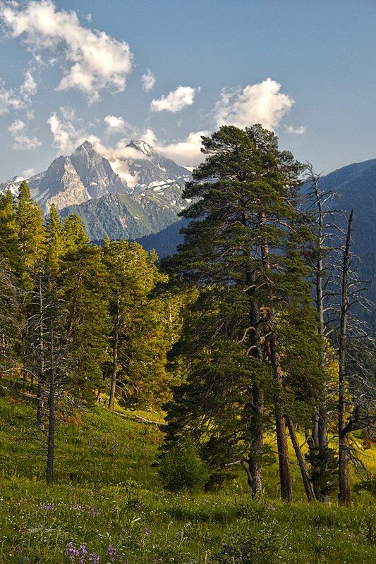 Архыз. Вспоминания о лете.photo preview