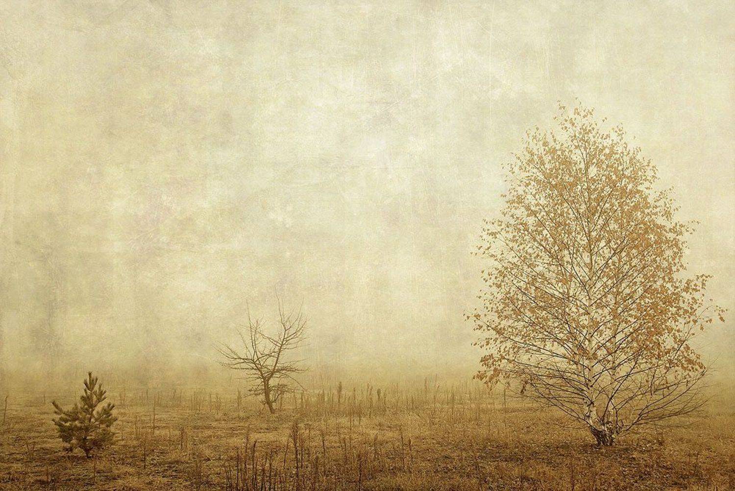 ...запах тумана.... Автор: andrem , andrem