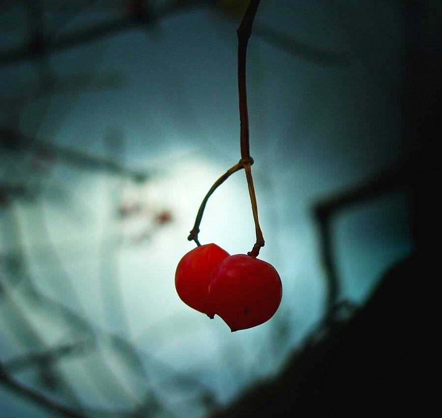 love is..... Автор: Ириска , Ириска