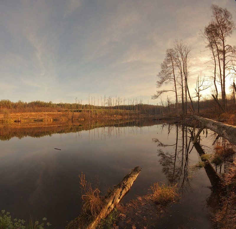 Вечером на озереphoto preview