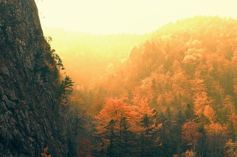 река, ван-чин, милоградовка, приморье, сихотэ-алинь, тайга, лес, осень, дымка, закат, каньон, скалы, останцы, ущелье В ущельеphoto preview