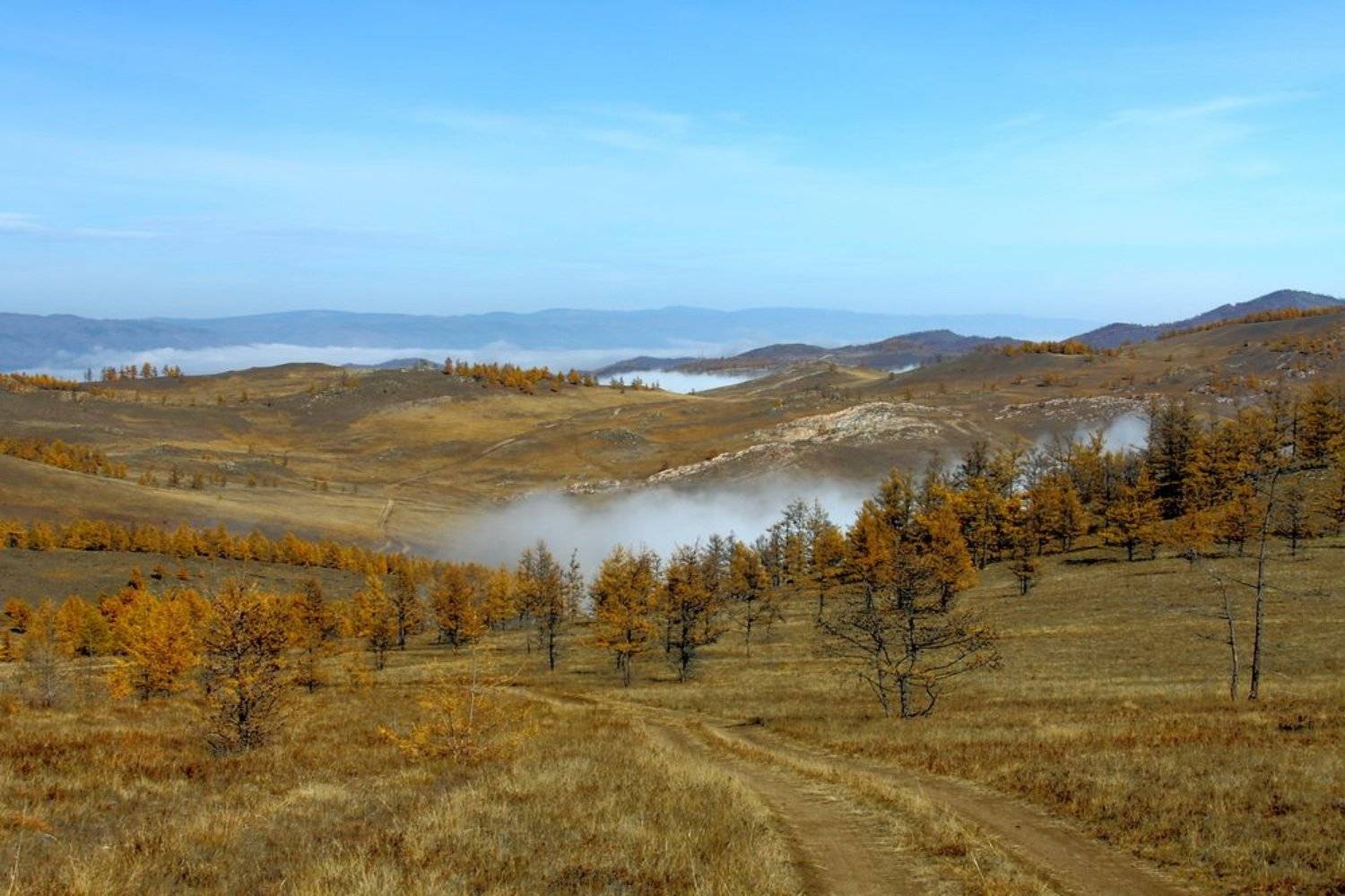 , Дмитрий Кононов