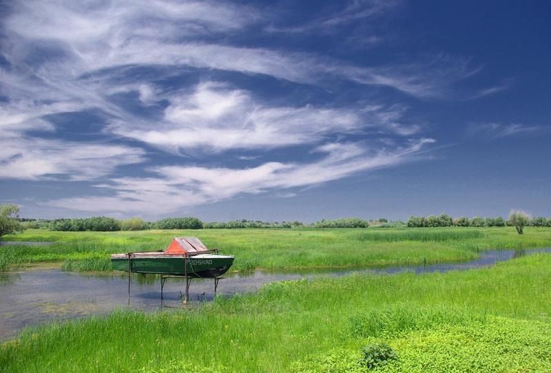 Ожиданиеphoto preview