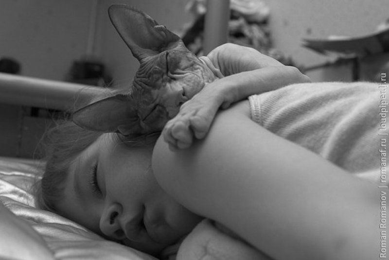 киса Ангел хранительphoto preview