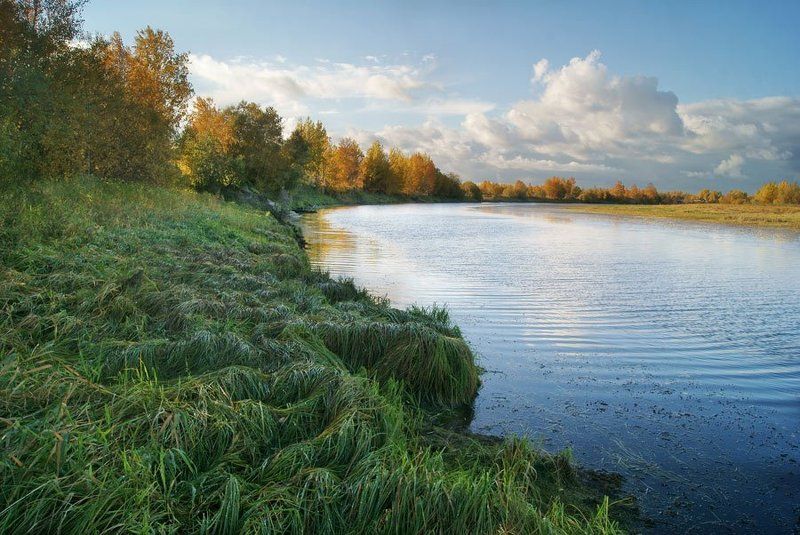 Good Dayphoto preview