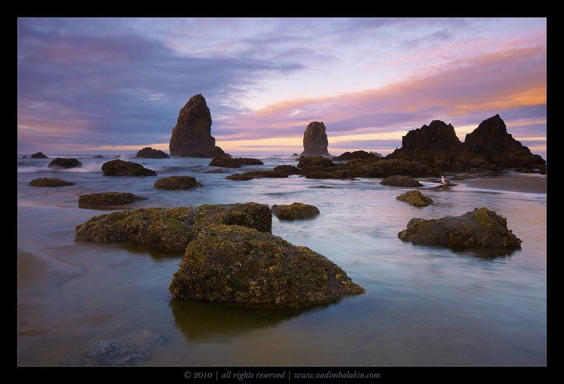 Brand New Dayphoto preview