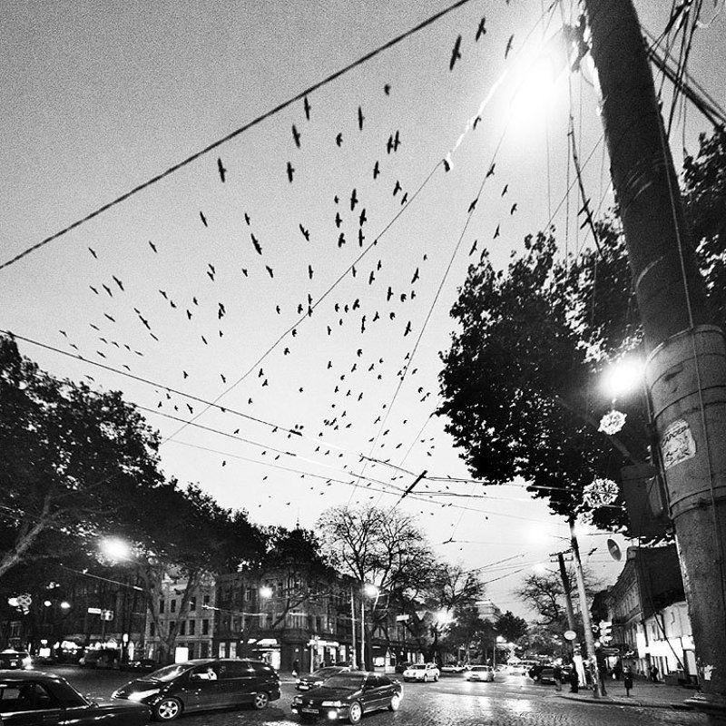 Одесса. Осень.photo preview