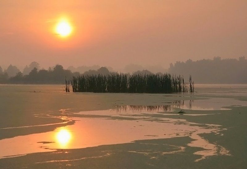 Утроphoto preview