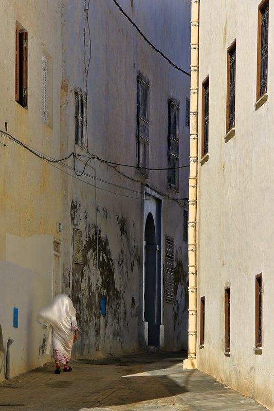 Спасительная теньphoto preview