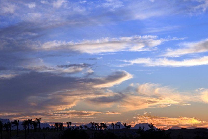 небо, египет, пальмы, облака, закат Небо Египта фото превью