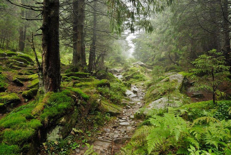 иди на светphoto preview