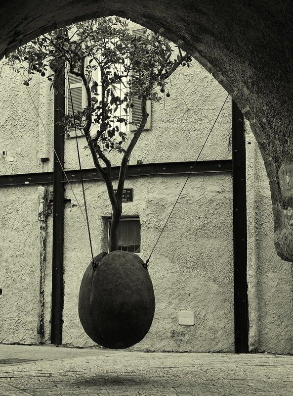 город, дерево соседство живого...photo preview