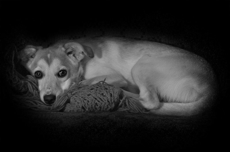 Тася в норкеphoto preview