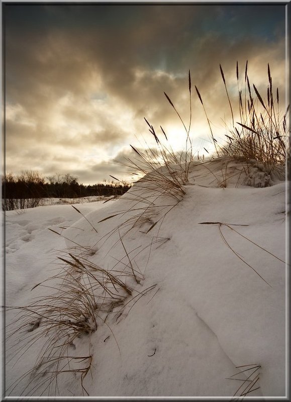 vecher v djunahphoto preview