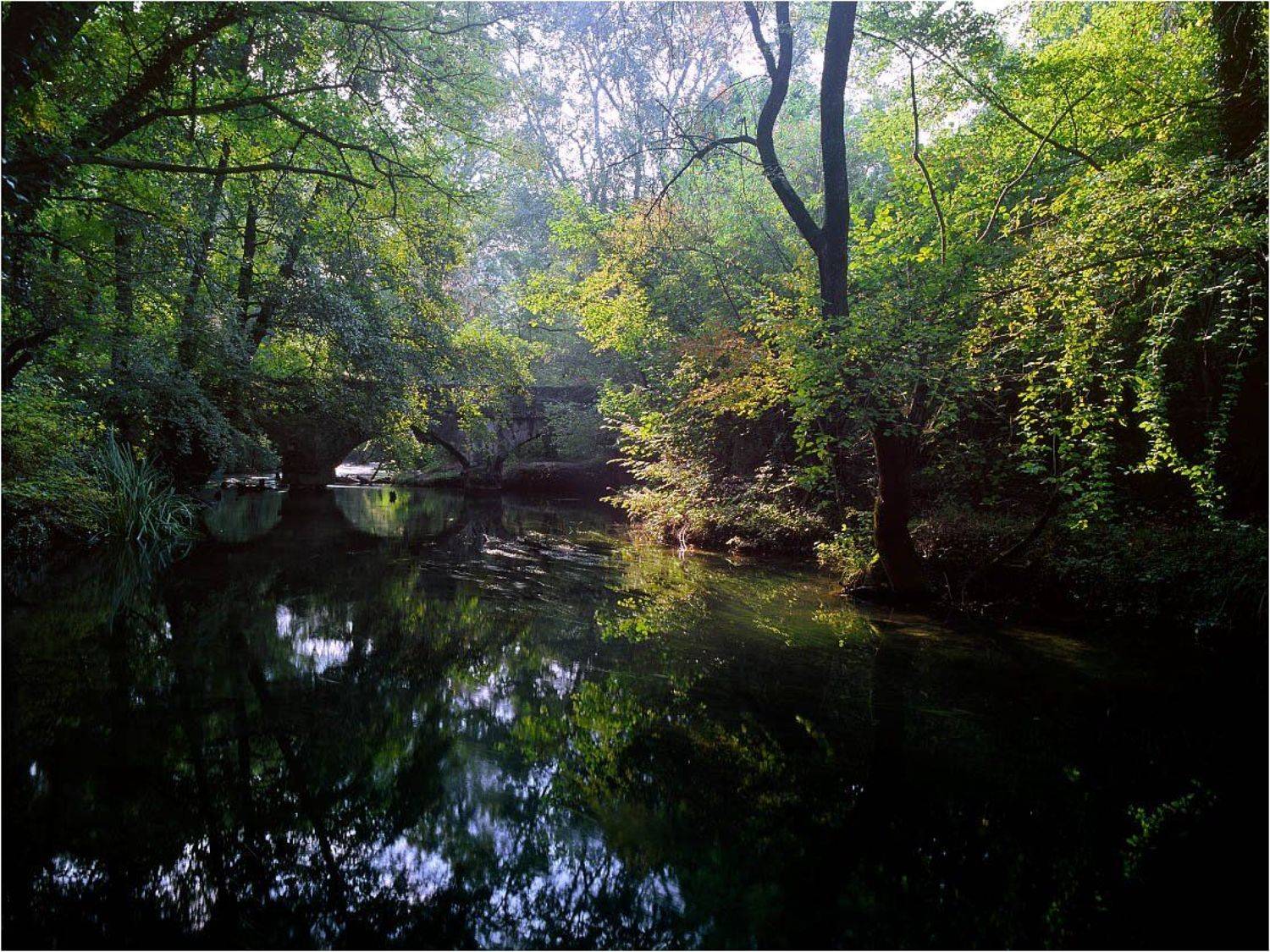 ***. Автор: Алексей Пучков , Алексей Пучков