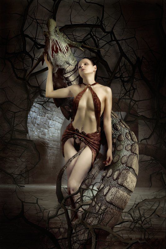 дама с собачкойphoto preview