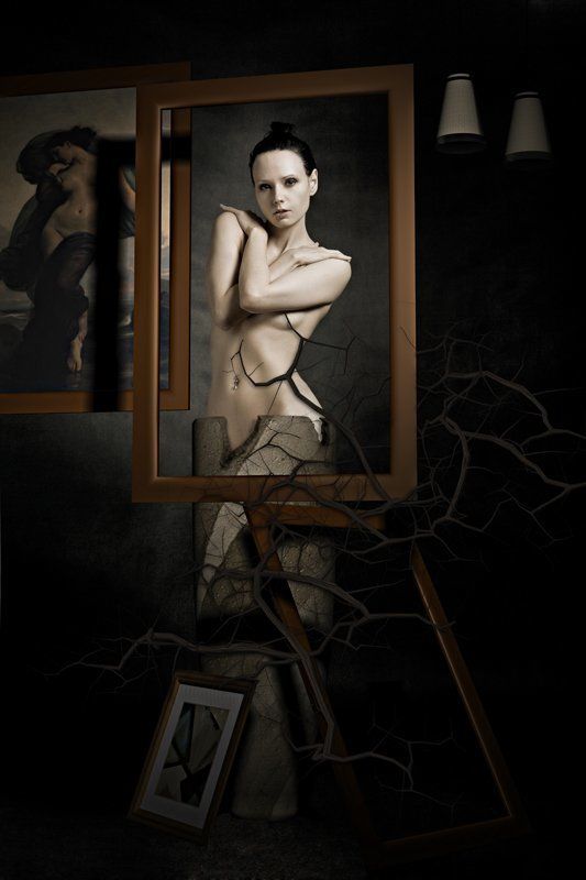 мои растения и картиныphoto preview