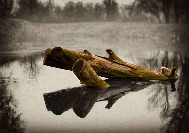 something in the morning fog...photo preview