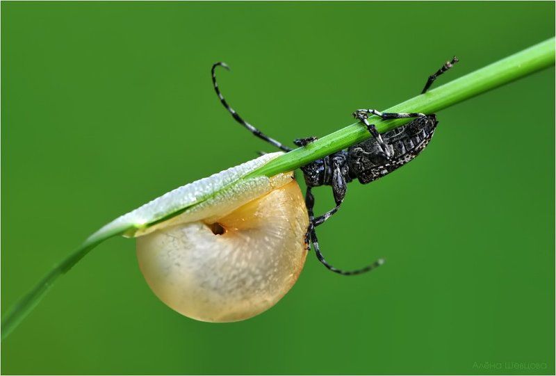 Почти как у людей :-)photo preview