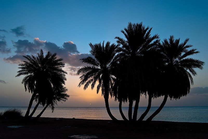 солнце, пальмы, рассвет, море, египет, дахаб Сон о рассвете...photo preview
