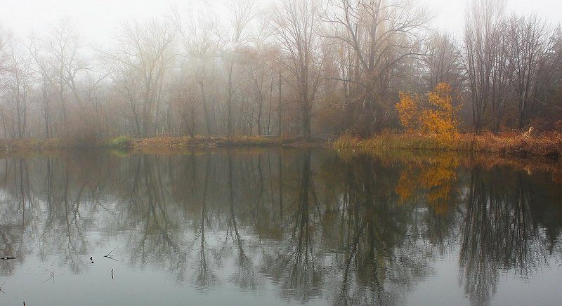 озеро, осень Озеро в ноябреphoto preview