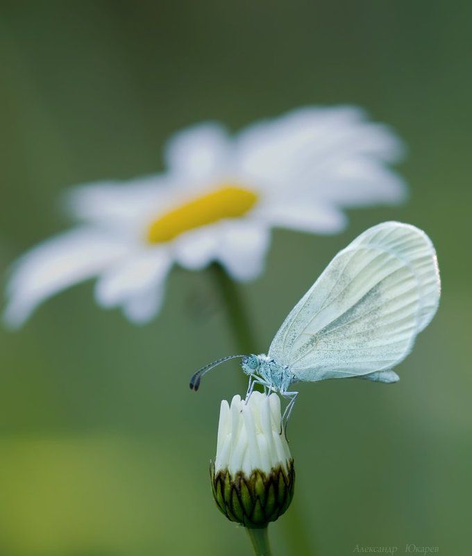 Унылаяphoto preview