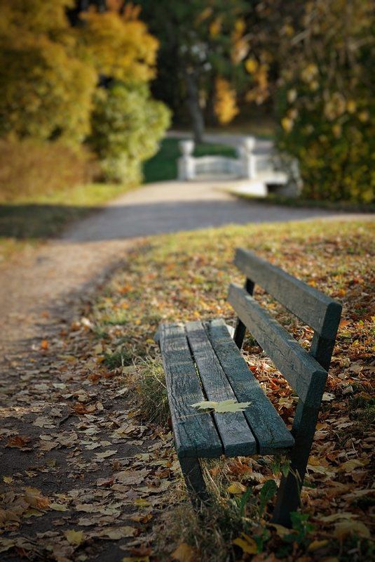 The invitation at autumnphoto preview