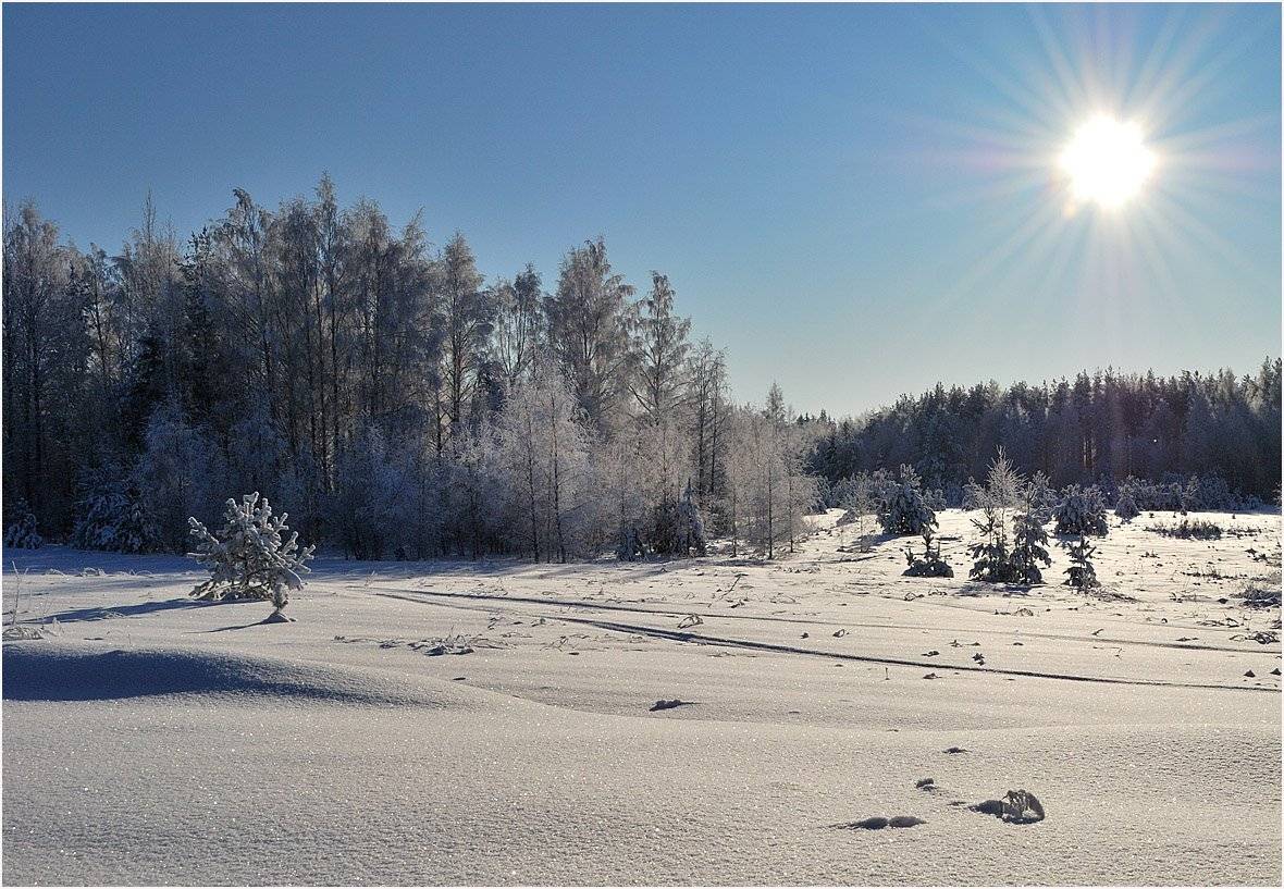 , Андрей Куликов