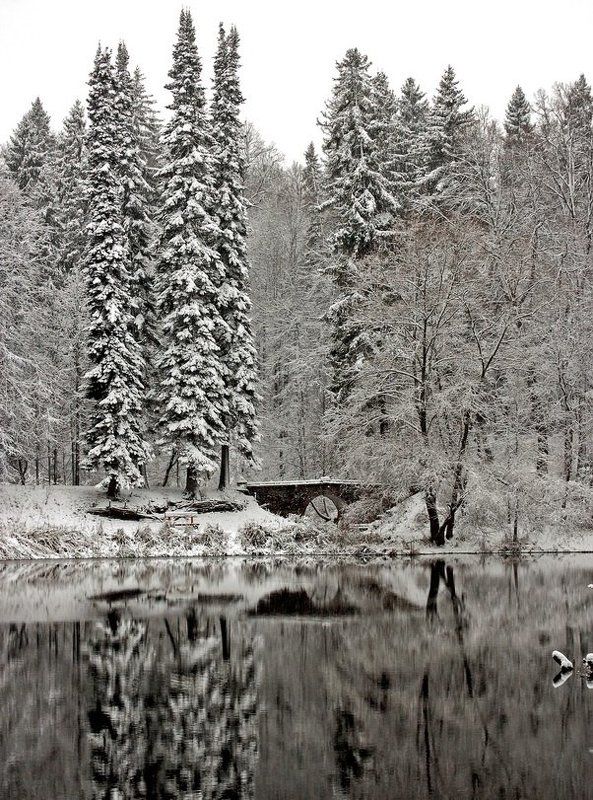 В старом парке.photo preview