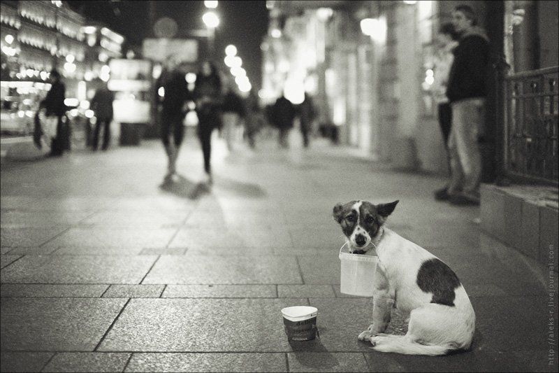 питер О том.кто рядом...photo preview