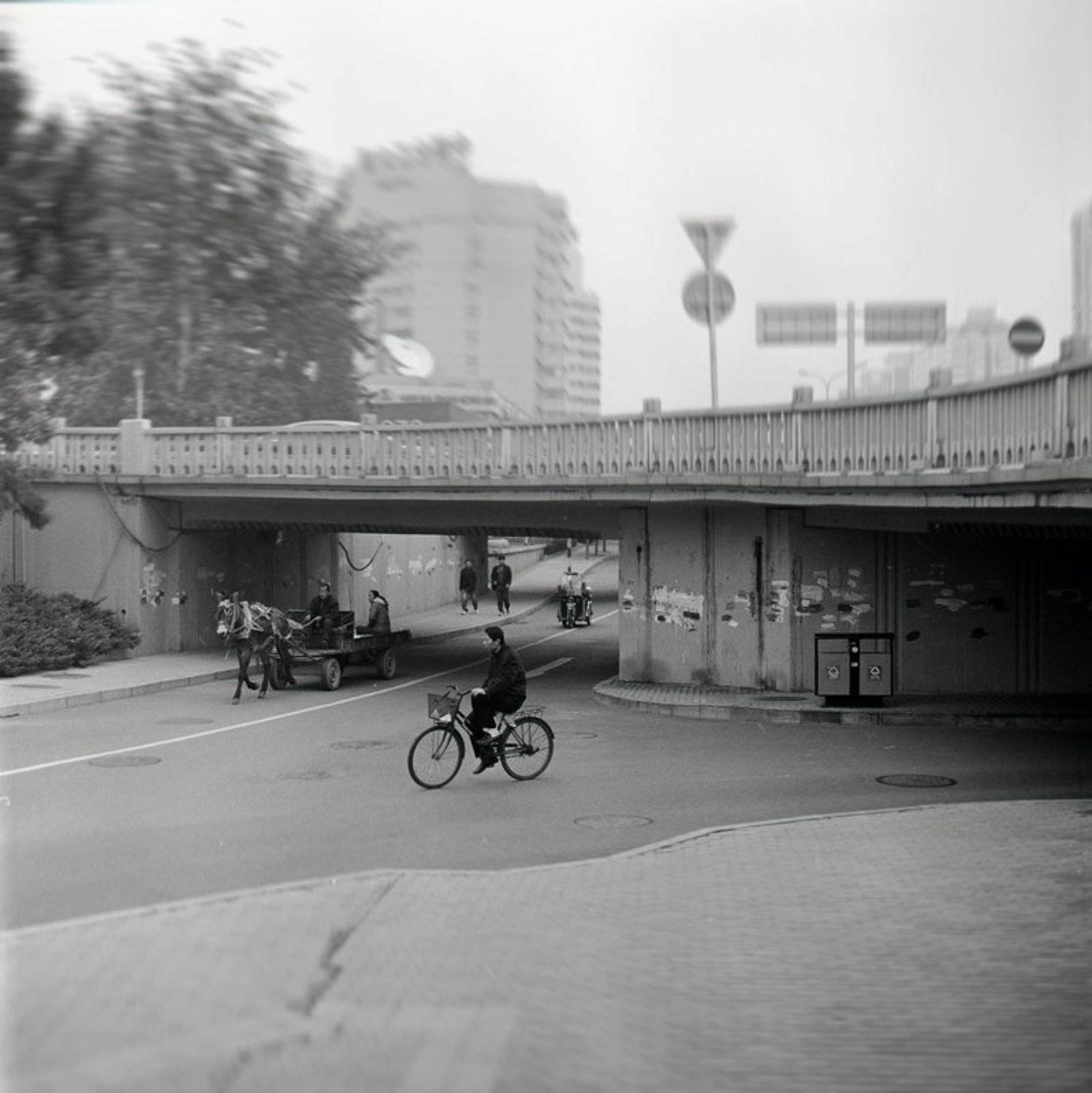 китай, пекин, h2o, beijing, china, геннадий, тараканов, 6х6, плёнка, h2o