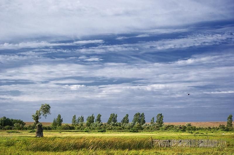 Перелетphoto preview