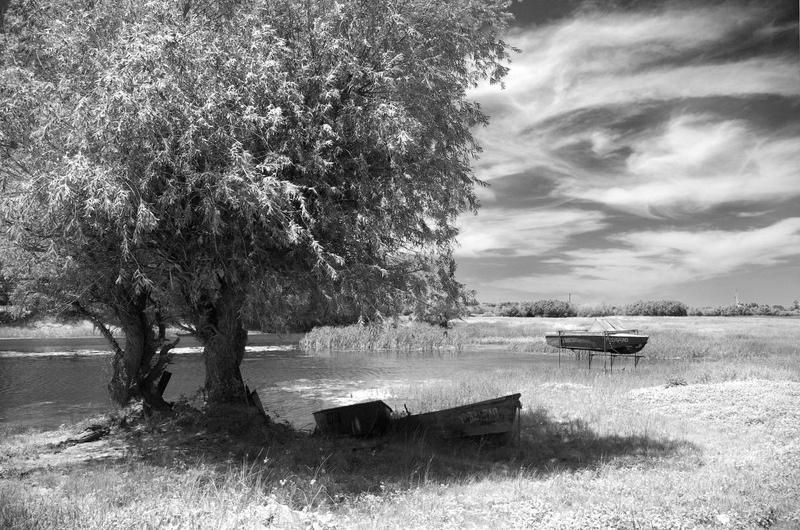 полденьphoto preview